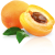 1_apricot