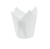 whitetulp