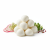 mozarella_galbani